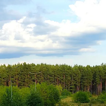 Ligita Near Egle * Druskininkai