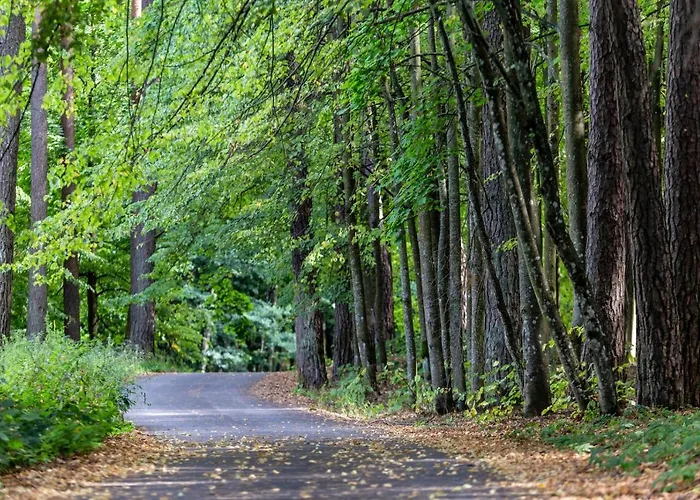 Ligita Near Egle Apartment