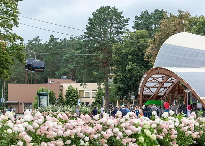 Ligita Near Egle شقة