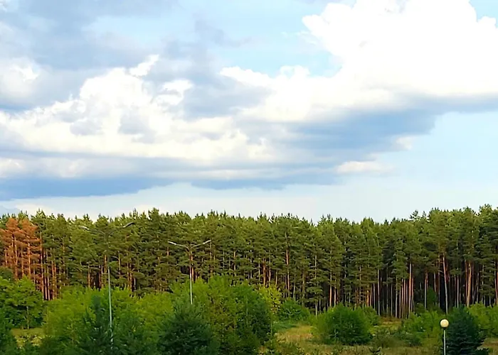 Ligita Near Egle * دروسكينينكاي